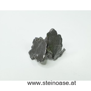 Meteorit /Eisenmeteorit